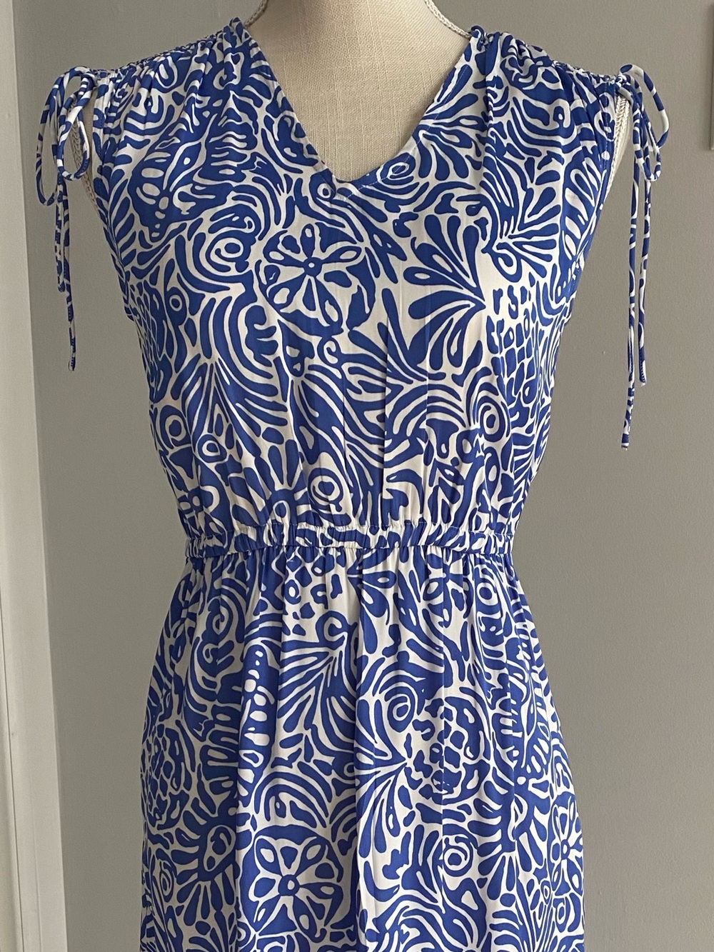 LOFT Outlet Blue and White Printed Maxi Dress